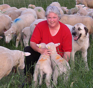Janet McNally with lambs