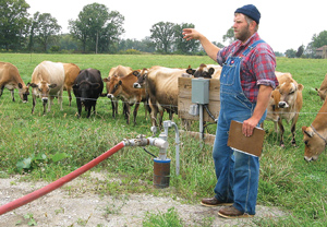 Farmer with cows