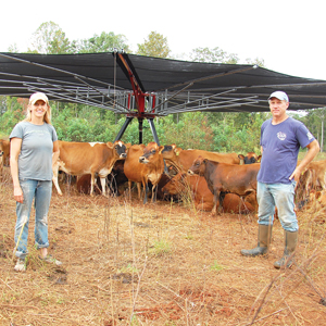 Suzanne and Hue with cows