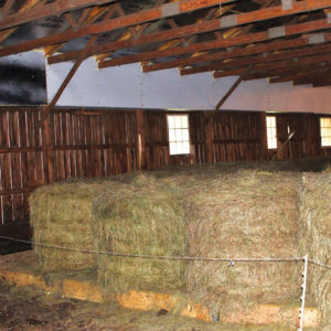 Hay in shed
