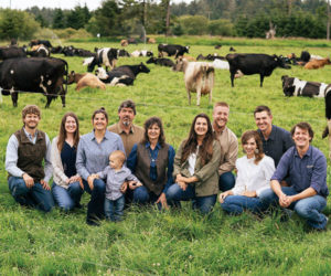 Family in pasture with cows